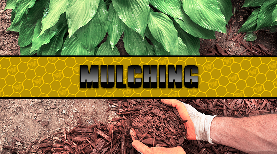 Mulching